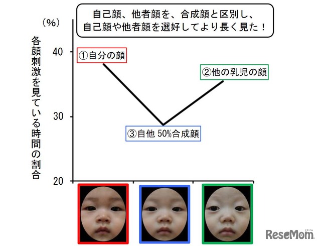 各顔刺激を見ている時間の割合