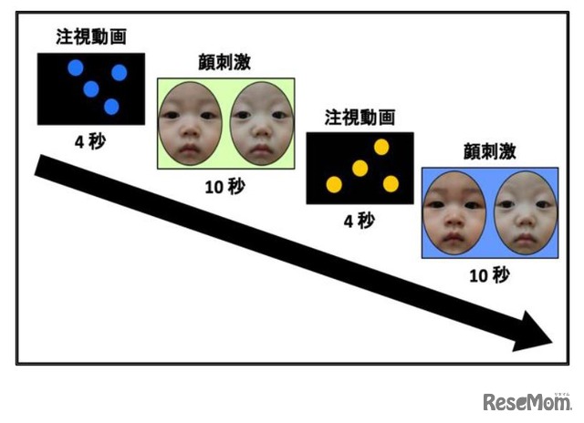 研究手法