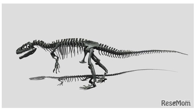 アロサウルス全身骨格化石デジタルデータ