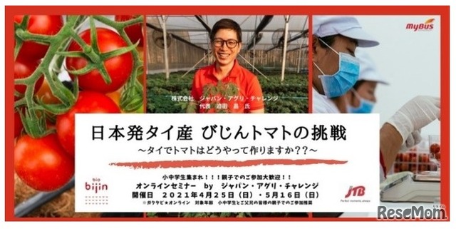 タイ 「日本発タイ産 びじんトマトの挑戦  タイでトマト農園を始めた日本人起業家のお話