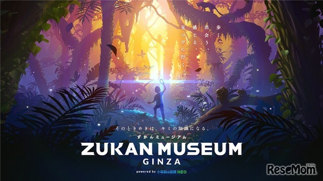 ZUKAN MUSEUM GINZA powered by 小学館の図鑑NEO