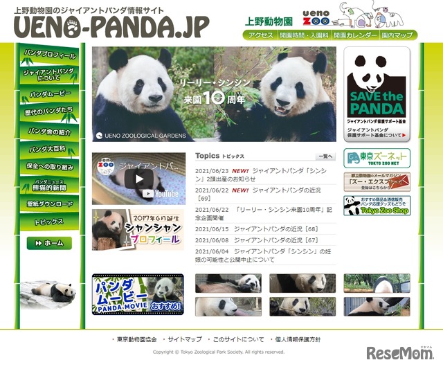 上野動物園のジャイアントパンダ情報サイト