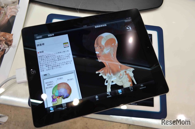 iPad用、頭頸部筋骨格系解剖アプリ