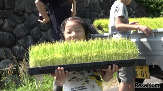 映画「屋根の上に吹く風は」　(c) SAKAE ASADA