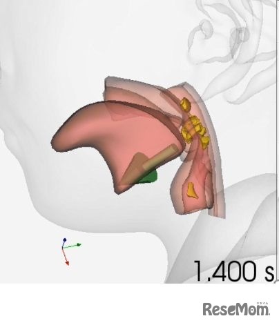 豆を口に入れて転がる行動をした場合のシミュレーション