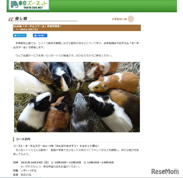 東京都多摩動物公園「オータムスクール」