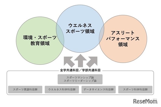 スポーツウエルネス学部（仮称）