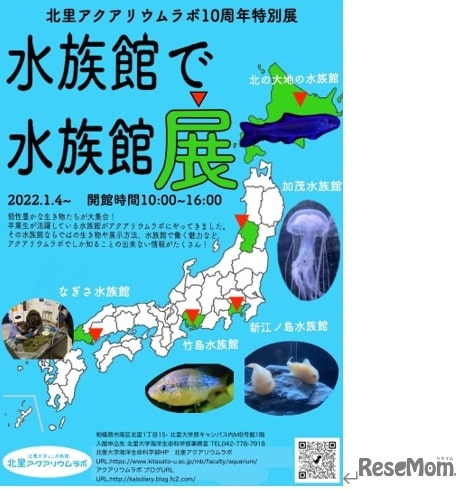 北里アクアリウムラボ10周年特別展「水族館で水族館展」