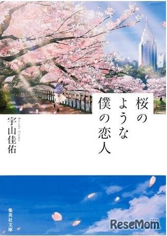 「桜のような僕の恋人」（集英社文庫）