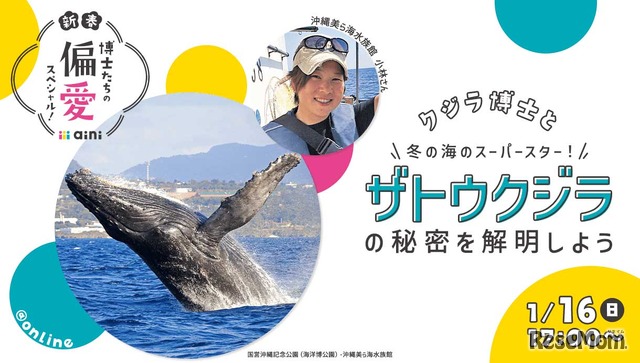 クジラ博士と冬の海のスーパースター！ザトウクジラの秘密を解明しよう