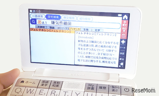 「探究検索」は調べた言葉が説明文に含まれている単語まで網羅