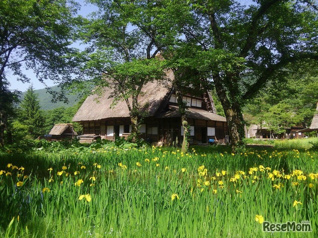 野外博物館 合掌造り民家園