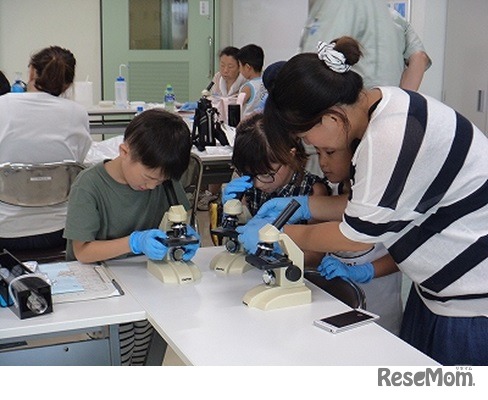 微生物観察（令和元年のようす）