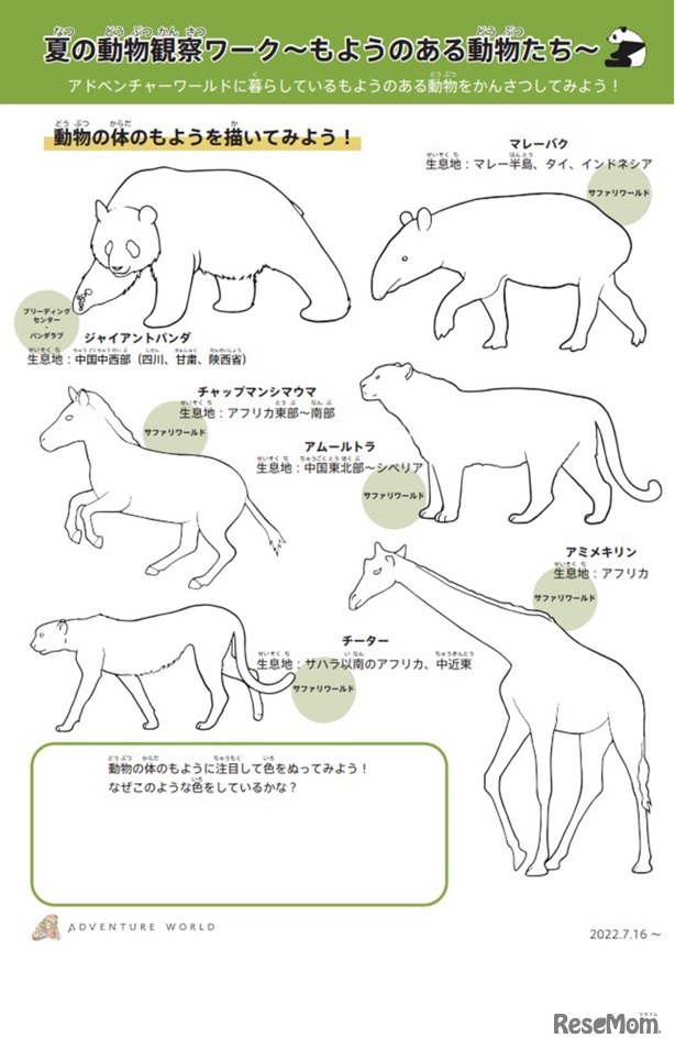 アドベンチャーワールド自由研究シート