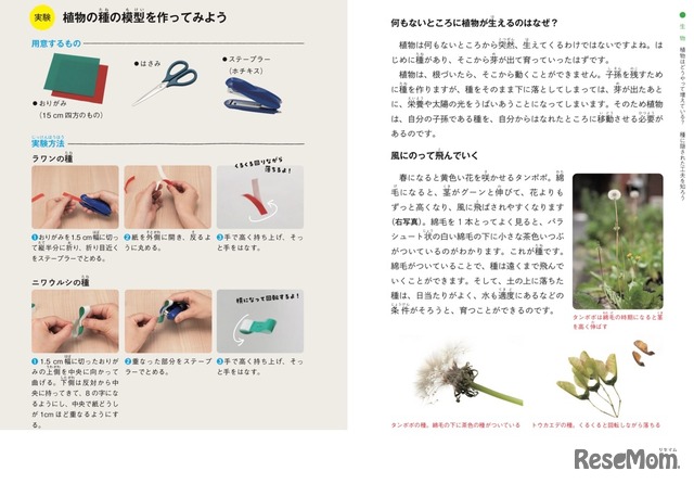 植物の種の模型を作る実験