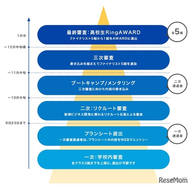 審査プロセスとスケジュール