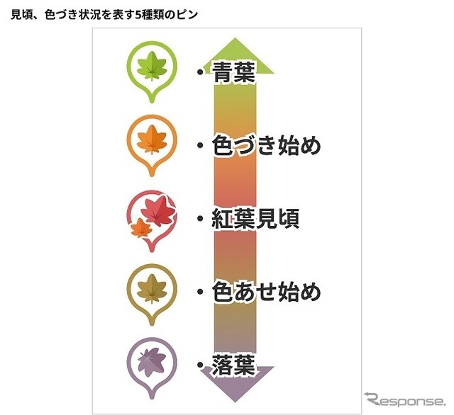 見頃、色づき状況を表す5種類のピン