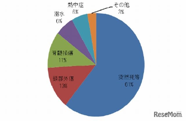 死亡・重度の障害事故（傷病別割合）グラフ