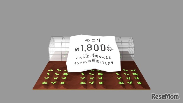 AR画像で映し出される映像キャプチャ