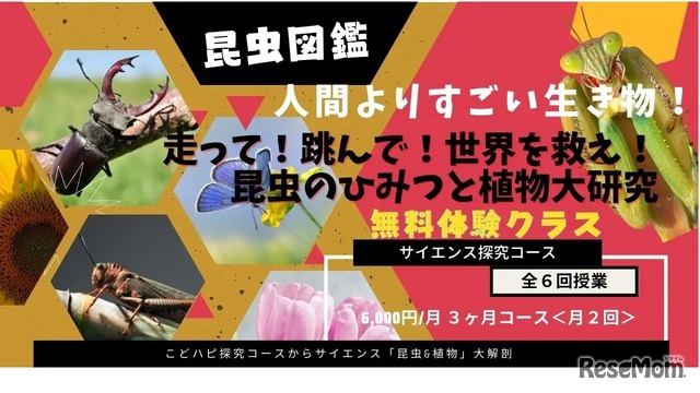サイエンス探究学コース