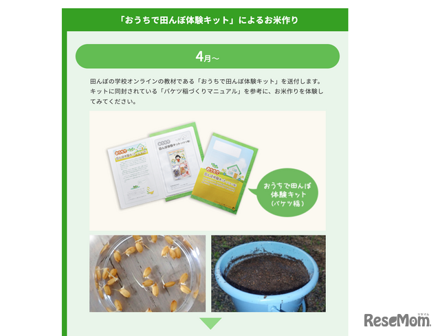 「おうちで田んぼ体験キット」によるお米作り 4月