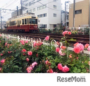 都電荒川線装飾車両 9001号車　(c) 荒川区2012＃5-0002