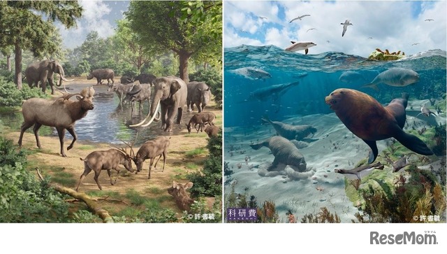 特別展「よみがえるチバニアン期の古生物」