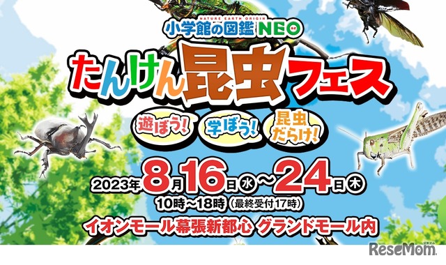小学館の図鑑NEO たんけん昆虫フェス~遊ぼう!学ぼう!昆虫だらけ!~