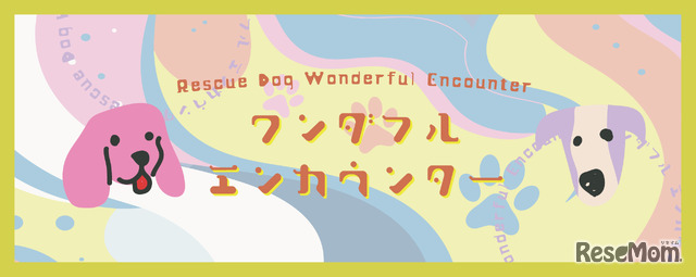 ワンダフルエンカウンター