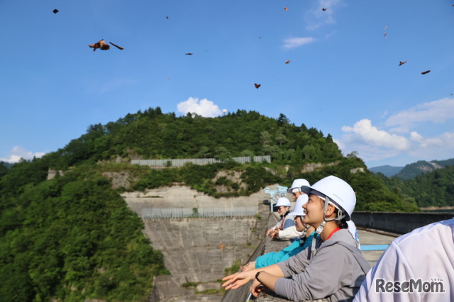 ダムに風があたって上昇気流が発生。枯葉を落とすと一気に舞い上がる