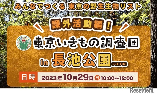 東京いきもの調査団、課外活動～里山編～ in 長池公園