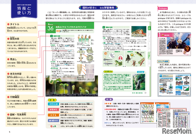 特長と使い方