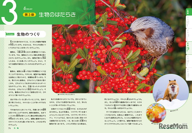 Prologue（プロローグ）第3章