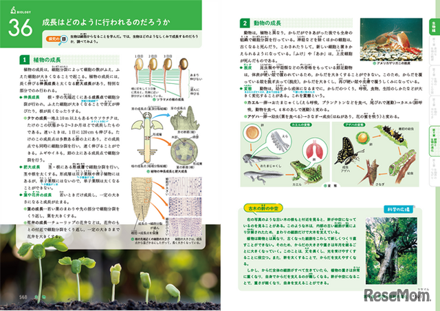 豊富な図・表・写真36