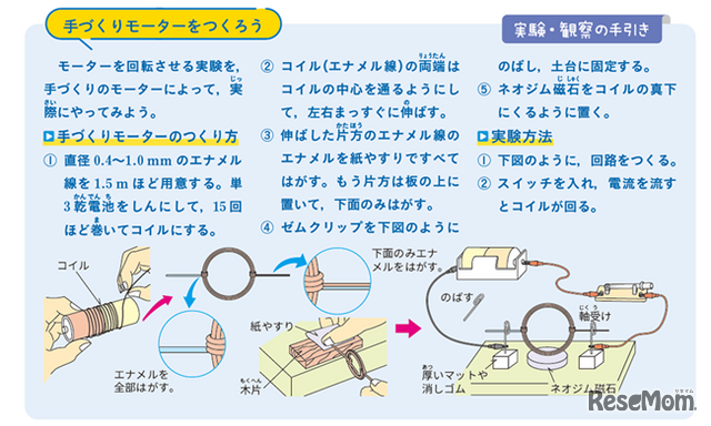 実験・観察の手引き