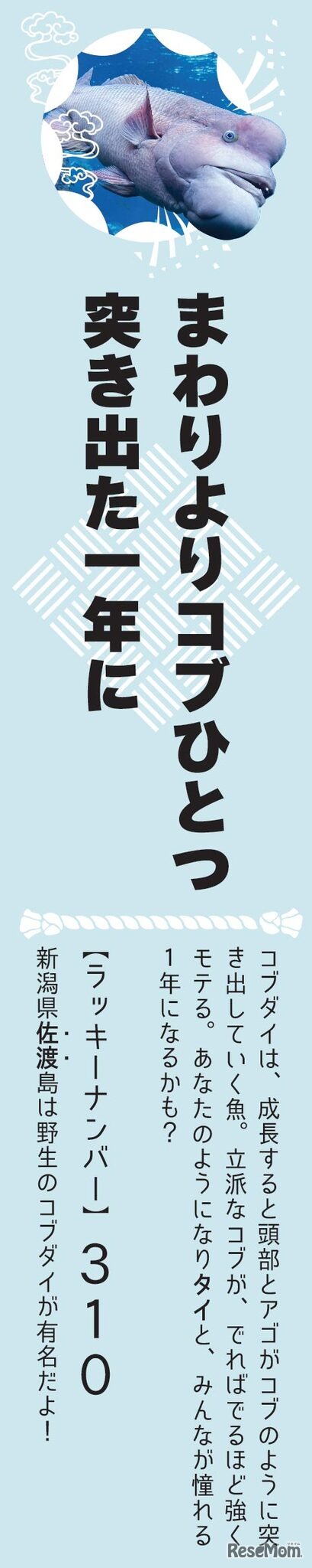 うみがたりおもしろ魚（イヨ）みくじ2024