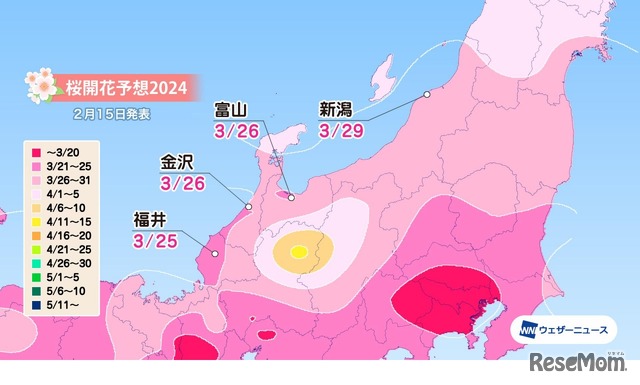 北陸の桜開花予想