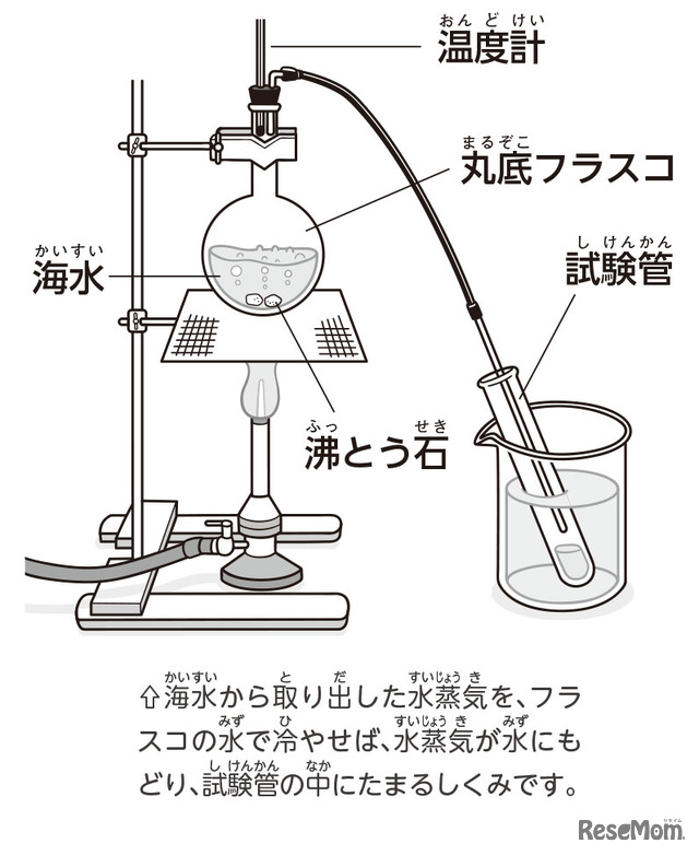 【自由研究】海水から真水を取り出せ！（化学）