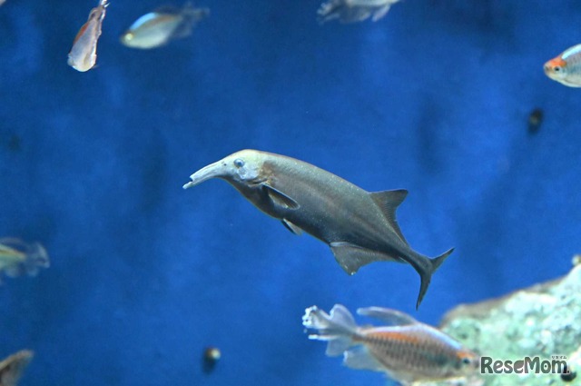 水族館のイメージ