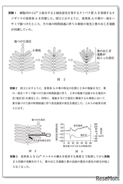 【大学受験2025】東進生のデータから見る、共通テスト本番までの得点の伸ばし方（前編）