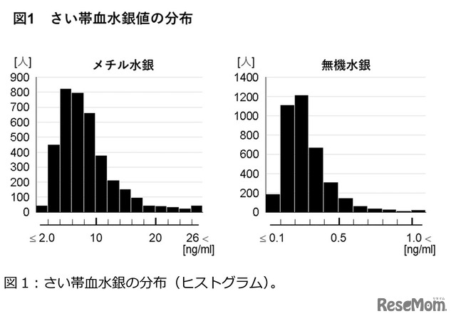 さい帯血水銀の分布（ヒストグラム）