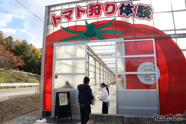 トマトの温室「トマトハウス」へ。温室に足を踏み入れた瞬間、夏のような蒸し暑さ