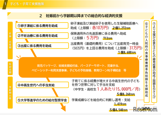 妊娠前から学齢期以降までの総合的な経済的支援