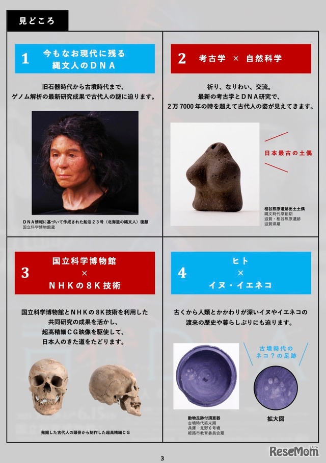 特別展の見どころ