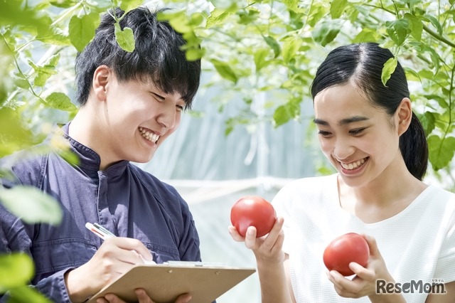 学生懸賞論文を募集
