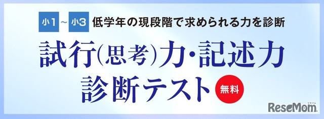 試行（思考）力・記述力 診断テスト