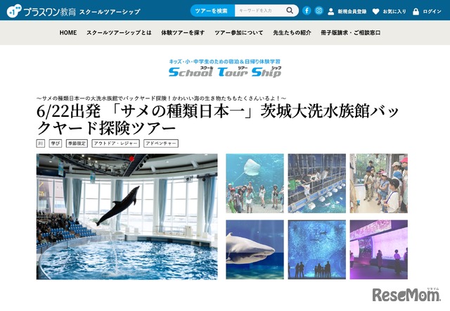 サメの種類日本一！茨城大洗水族館バックヤード探検ツアー
