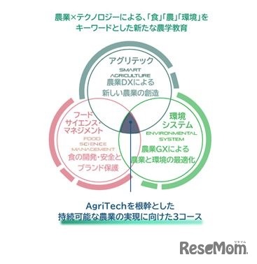 コース概念図