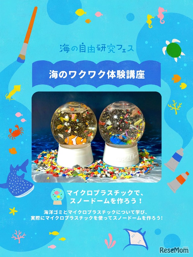 海のワクワク体験講座「マイクロプラスチックでスノードームを作ろう！」