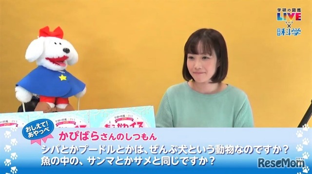 過去のライブ配信でも大好評の事前質問への回答コーナー